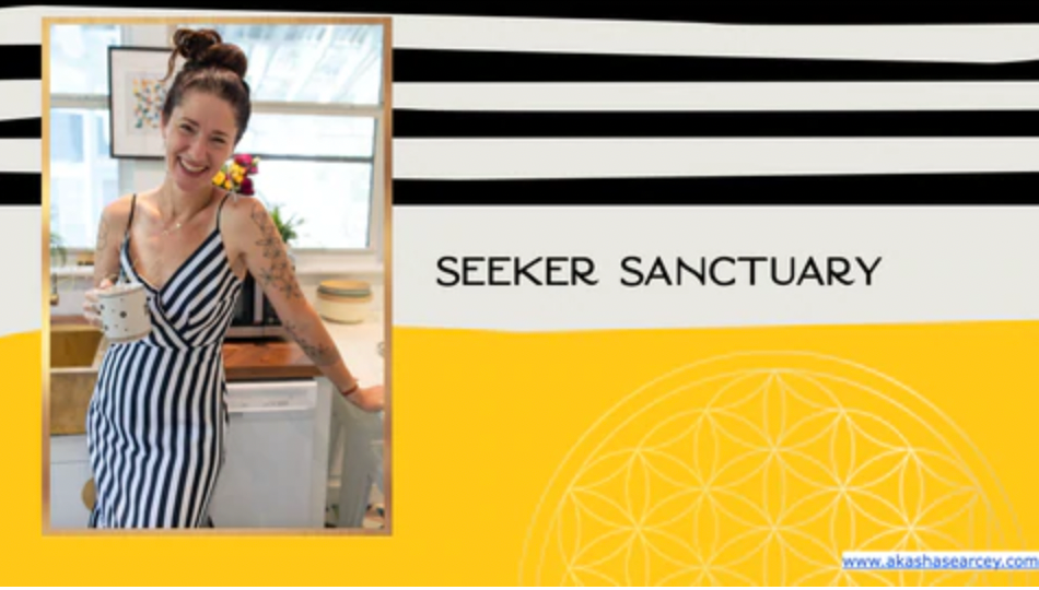 The Seeker Santuary is here!